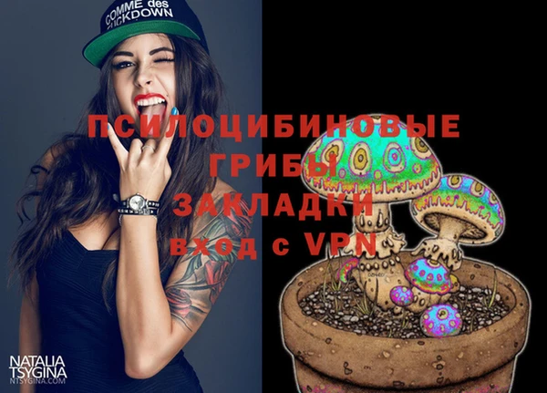 спиды Алексеевка